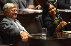 Foto de la galería: En la Legislatura crearon un Plan Maestro Forestal para Misiones