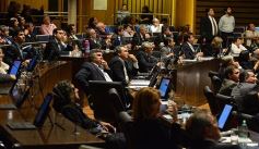 Foto de la galería: En la Legislatura crearon un Plan Maestro Forestal para Misiones