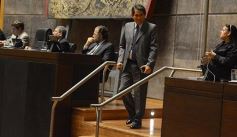Foto de la galería: En la Legislatura crearon un Plan Maestro Forestal para Misiones