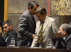 Foto de la galería: En la Legislatura crearon un Plan Maestro Forestal para Misiones
