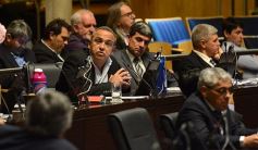 Foto de la galería: En la Legislatura crearon un Plan Maestro Forestal para Misiones