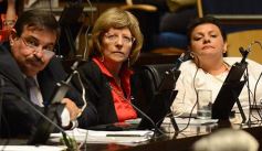 Foto de la galería: En la Legislatura crearon un Plan Maestro Forestal para Misiones