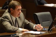 Foto de la galería: En la Legislatura crearon un Plan Maestro Forestal para Misiones