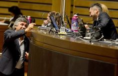 Foto de la galería: En la Legislatura crearon un Plan Maestro Forestal para Misiones