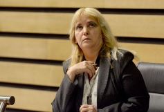 Foto de la galería: En la Legislatura crearon un Plan Maestro Forestal para Misiones