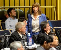 Foto de la galería: En la Legislatura crearon un Plan Maestro Forestal para Misiones