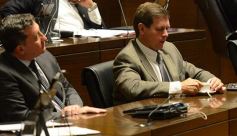 Foto de la galería: En la Legislatura crearon un Plan Maestro Forestal para Misiones