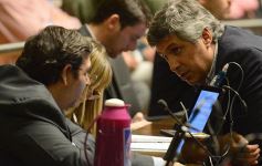 Foto de la galería: En la Legislatura crearon un Plan Maestro Forestal para Misiones