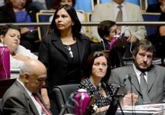 Foto de la galería: En la Legislatura crearon un Plan Maestro Forestal para Misiones