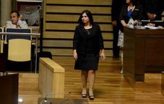 Foto de la galería: En la Legislatura crearon un Plan Maestro Forestal para Misiones