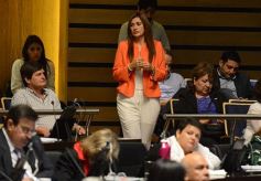 Foto de la galería: En la Legislatura crearon un Plan Maestro Forestal para Misiones