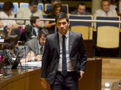 Foto de la galería: En la Legislatura crearon un Plan Maestro Forestal para Misiones