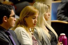 Foto de la galería: En la Legislatura crearon un Plan Maestro Forestal para Misiones