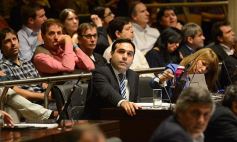 Foto de la galería: En la Legislatura crearon un Plan Maestro Forestal para Misiones