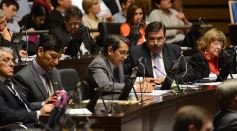 Foto de la galería: En la Legislatura crearon un Plan Maestro Forestal para Misiones