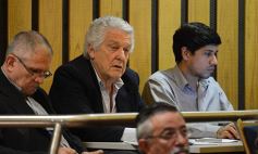 Foto de la galería: En la Legislatura crearon un Plan Maestro Forestal para Misiones