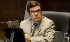 Foto de la galería: En la Legislatura crearon un Plan Maestro Forestal para Misiones