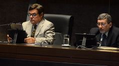 Foto de la galería: En la Legislatura crearon un Plan Maestro Forestal para Misiones