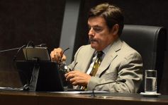 Foto de la galería: En la Legislatura crearon un Plan Maestro Forestal para Misiones