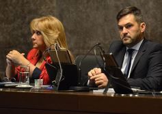 Foto de la galería: En la Legislatura crearon un Plan Maestro Forestal para Misiones