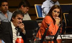 Foto de la galería: En la Legislatura crearon un Plan Maestro Forestal para Misiones