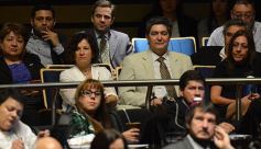 Foto de la galería: En la Legislatura crearon un Plan Maestro Forestal para Misiones