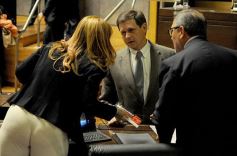 Foto de la galería: En la Legislatura crearon un Plan Maestro Forestal para Misiones