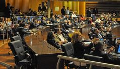 Foto de la galería: En la Legislatura crearon un Plan Maestro Forestal para Misiones