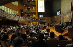 Foto de la galería: En la Legislatura crearon un Plan Maestro Forestal para Misiones
