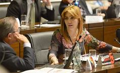 Foto de la galería: La Legislatura aprobó el Presupuesto 2017 para la Administración Pública
