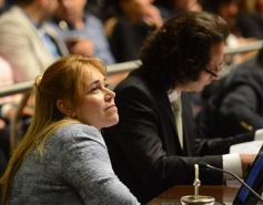 Foto de la galería: La Legislatura aprobó el Presupuesto 2017 para la Administración Pública