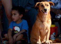 Foto de la galería: Tres mil vecinos disfrutaron del "Barrio Feliz" en la Escuela 809
