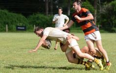 Foto de la galería: El Tacurú fue una fiesta con la edición 35 del tradicional seven