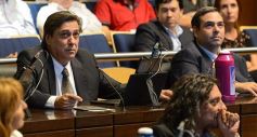 Foto de la galería: Reeligieron a Carlos Rovira para presidir el Poder Legislativo