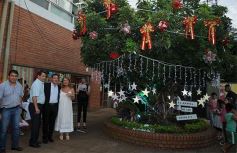 Foto de la galería: Todo un símbolo de la Navidad: encendieron el árbol de los deseos en el Hogar de Día