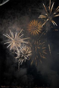 Foto de la galería: Inolvidable show de fuegos artificiales y recital de Miranda en la costanera