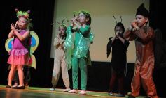 Foto de la galería: Los chicos de Talento brillaron en la gala anual