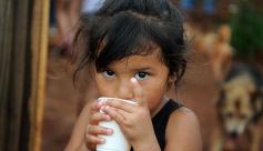 Foto de la galería: El grupo de catequesis de San Ignacio de Loyola mostró un gran gesto solidario