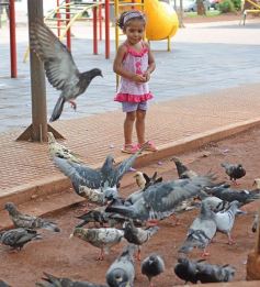 Foto de la galería: La última recorrida del año por Posadas: gracias por la buena onda y feliz 2017!!!!