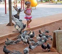 Foto de la galería: La última recorrida del año por Posadas: gracias por la buena onda y feliz 2017!!!!