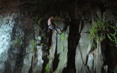 Foto de la galería: "Todos Tenemos Misiones" fue un éxito en Posadas