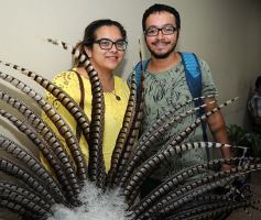 Foto de la galería: Lanzaron los esperados carnavales misioneros 2017