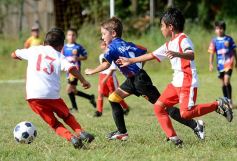 Foto de la galería: Los futuros cracks del fútbol misionero en acción