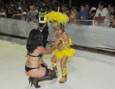 Foto de la galería: Toda la magia de los carnavales posadeños