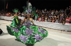 Foto de la galería: Toda la magia de los carnavales posadeños