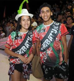 Foto de la galería: Toda la magia de los carnavales posadeños