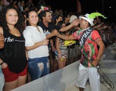 Foto de la galería: Toda la magia de los carnavales posadeños