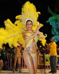 Foto de la galería: Cierre de lujo para los carnavales misioneros en San Ignacio