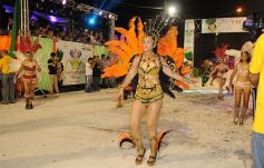Foto de la galería: Cierre de lujo para los carnavales misioneros en San Ignacio