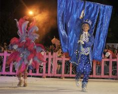 Foto de la galería: Cierre de lujo para los carnavales misioneros en San Ignacio